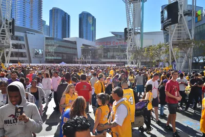 DSC_7195 (Large).JPG